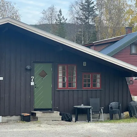 Vennebo - Koselig Liten Med Alle Fasiliteter Vakantiehuis Ål